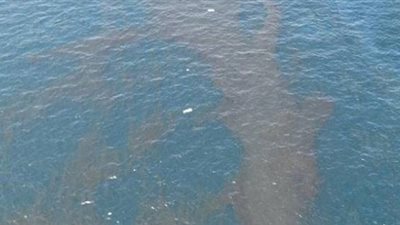 غلق محطات المياه على النيل بالمنيا بسبب بقعة زيت