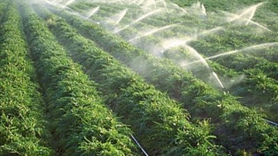 الأقصر تنفذ مشروعا لتطوير الري الحقلي بتكلفة 50 مليون جنيه