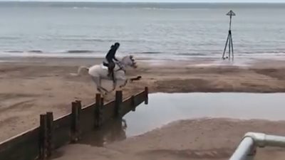 سقوط مروع لشاب من فوق حصان (فيديو)