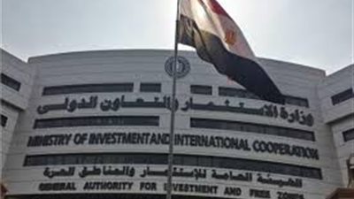 الحكومة تغازل الشركات العالمية بتوفير مناخ جيد للاستثمار