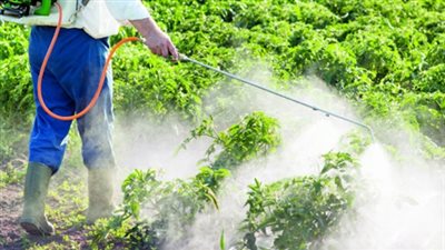 «الزراعة» تعد مقترحا لتشديد عقوبة غش وتهريب المبيدات