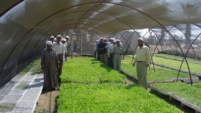 الوادي الجديد تطرح شتلات وبطا للمزارعين لتنمية الثروة الزراعية والداجنة