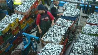 انتهاء المفاوضات الموريتانية الأوربية حول الأسماك دون اتفاق