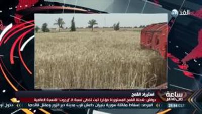 بالفيديو.. «الزراعة»: ليس لنا علاقة بفساد القمح أو تشوينه