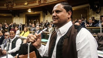 برلمانى: ثورة٣٠ يونيو أعادت هوية مصر وأنهت مخططات هدم الدولة