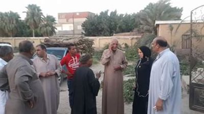 بالصور.. ضبط سيارة محملة بالأخشاب بمستشفى الصالحية القديمة