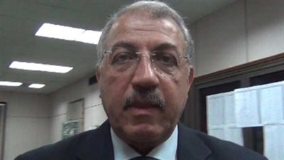 رئيس المعهد القومي للإدارة: «قانون الخدمة المدنية صدر في فترة صعبة»