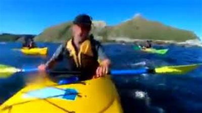 اخطبوط يصفع راكب أمواج داخل البحر (فيديو)