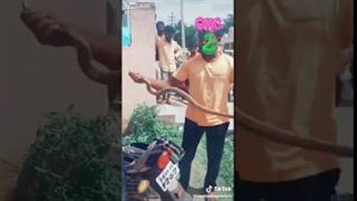 لحظة عثور رجل على أفعى سامة داخل دراجته النارية (فيديو)
