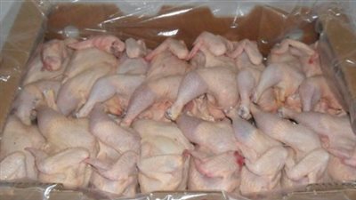 التموين: 30 شرطا لاستيراد الدواجن المجمدة وتداولها بالأسواق