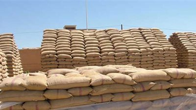 خبير تمويني يكشف حقيقة توريد المستهدف من القمح المحلي لهذا العام