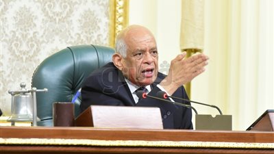 رئيس مجلس النواب يلتقي رموز الجالية المصرية في ألمانيا