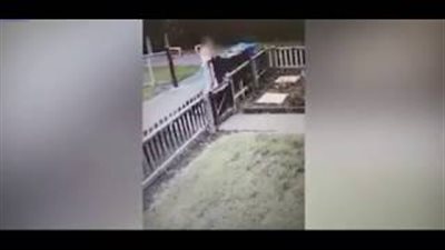 بالفيديو والصور.. مراهقة تتخلص من قطة بطريقة مروعة