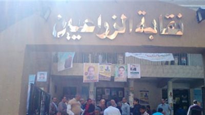 تفاصيل أزمة شقق نقابة الزراعيين بالمنيا (صور)