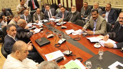 رئيس لجنة الزراعة: انفراجة في أزمة القمح مقارنة الأسبوع الماضى