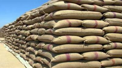 «زراعة أسوان»: توريد 451 طنا و320 كيلو قمح وصرف المستحقات قريبا