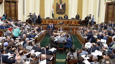 نائب بـ«زراعة النواب» يطالب بمواجهة مافيا الأسمدة