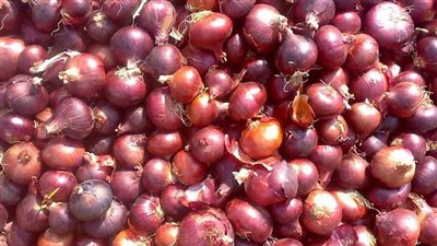 أسعار الخضراوات والفاكهة اليوم 9/ 10/ 2018.. والبصل بـ5.5 جنيهات