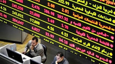 خبير: رفع الحد الأدنى لرأس مال الشركات يضر الاستثمار