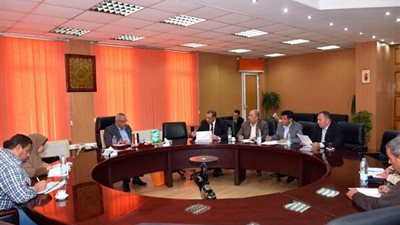 محافظ الشرقية: مستعدون لاستقبال محصول 381 ألفا و846 فدان قمح