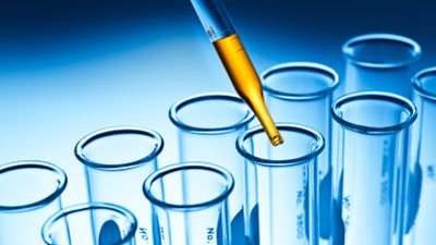 دراسة: فطر «لوشاجا» يقي من السرطان والالتهابات والفيروسات