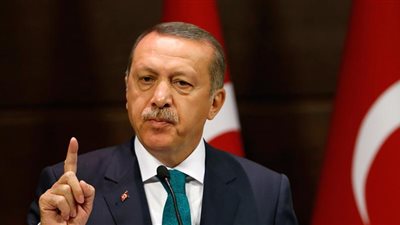 مفاجأة.. الإمارات عرضت اللجوء على أردوغان خلال محاولة الانقلاب