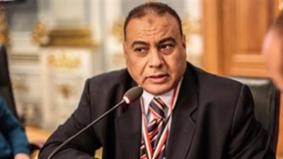 برلمانى: إشادة المؤسسات الدولية بالإصلاح الاقتصادي يؤكد العبور للمستقبل