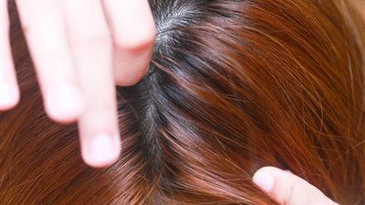 بالفيديو والصور.. سلع غريبة للبيع.. نساء الإمارات يقبلن على شراء «القمل» لعلاج تساقط الشعر.. عرض لحوم بشرية في أحد مطاعم بريطانيا.. «آيس كريم» بيض التماسيح.. وعصير ضفادع لعلاج الضع