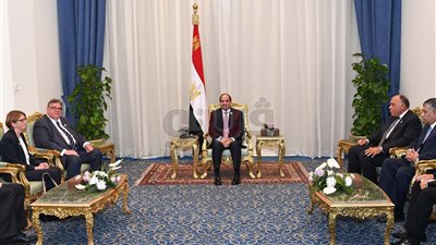 السيسي يبحث الفرص الاستثمارية مع وزير خارجية فنلندا