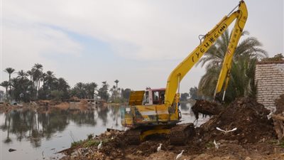 إزالة 40 حالة تعدٍ على الأراضي الزراعية في أسيوط