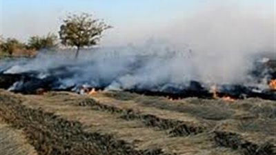 السيطرة على حريق بطريق كفر حمزة في القليوبية بسبب قش الأرز