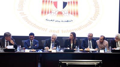 مصر وألمانيا تبحثان المشروعات المستقبلية لعام 2019