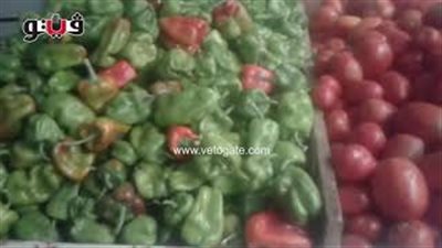 بالفيديو.. تباين أسعار الخضراوات.. والطماطم تسجل 7 جنيهات