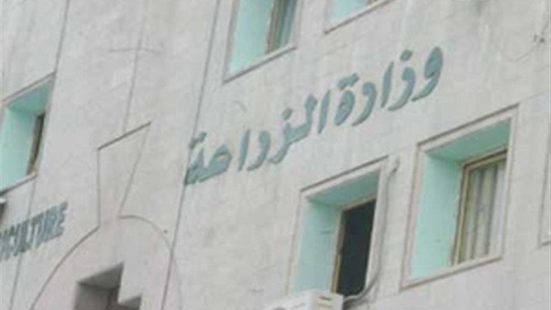 وزارة الزراعة 