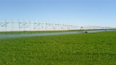 خاسرو قرعة الـ1.5 مليون فدان يتقدمون بـ٦مقترحات للحصول على أراضي