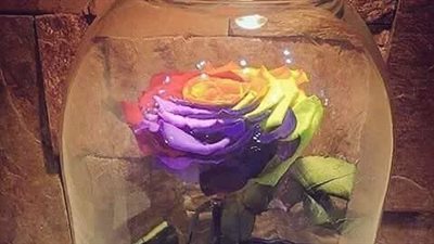 شاهد.. صدمة رواد «فيس بوك» بسبب وردة تباع أون لاين