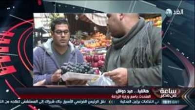 بالفيديو.. «الزراعة»: لا مقايضة في دخول قمح «الإرجوت»