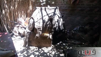 بالصور..العيش الشمسى ملك الطبلية القنائية في عيد الأضحى «تقرير»