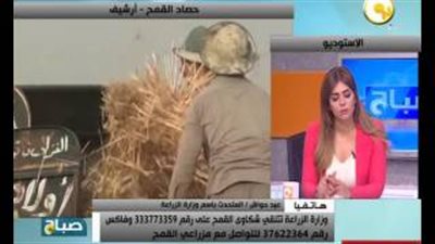 بالفيديو.. «الزراعة»: سيولة في توريد القمح بعد فتح الشون الترابية