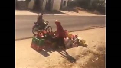 بالفيديو.. سائق يوقف القطار لشراء خوخ في تونس