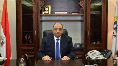 وزيرا التنمية المحلية والهجرة يناقشان مد إجازات العاملين بالخارج