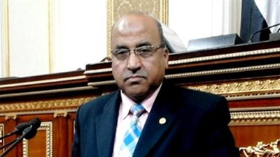 برلمانى: مد سن المعاش لـ٦٥ يتناقض مع قانون الخدمة المدنية