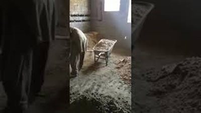 بالفيديو.. أغبي شاب في الوطن العربي