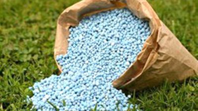 ‏سمير النجاري: ارتفاع أسعار الأسمدة تزيد أعباء تكلفة الإنتاج الزراعي