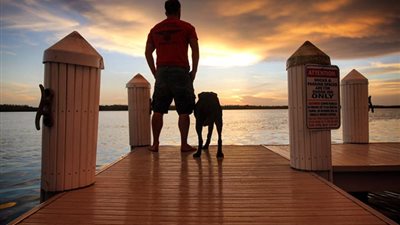 بالفيديو والصور.. رجل يصطحب كلبته في رحلة بعد مرضها