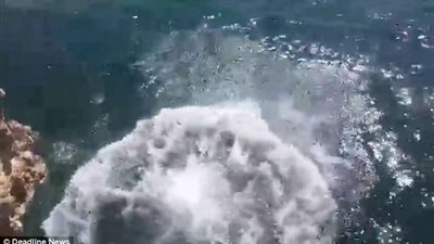 بالفيديو والصور.. قفزة خاطئة لرجل بسبب تردده