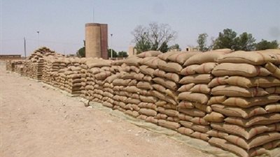 القمح.. «دراع مصر المكسور».. موسكو تكرر سيناريو أمريكا في الستينيات وتحظر الصادرات المصرية بسبب «الإرجوت».. «ناصر» لـ «واشنطون»: «اللي مش عاجبه يشرب من الب