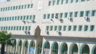 «الزراعة» تبدأ إزالة التعديات على ١٦ ألف فدان بالحمام