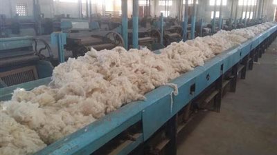 طلب إحاطة للحكومة بشأن حقيقة شطب محلج القطن في 