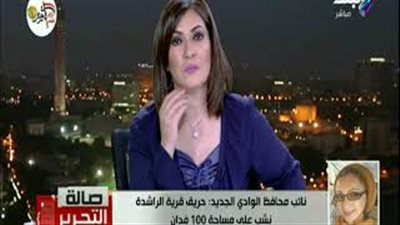 نائب محافظ الوادي الجديد: أعقاب السجائر وراء تكرار حرائق النخيل